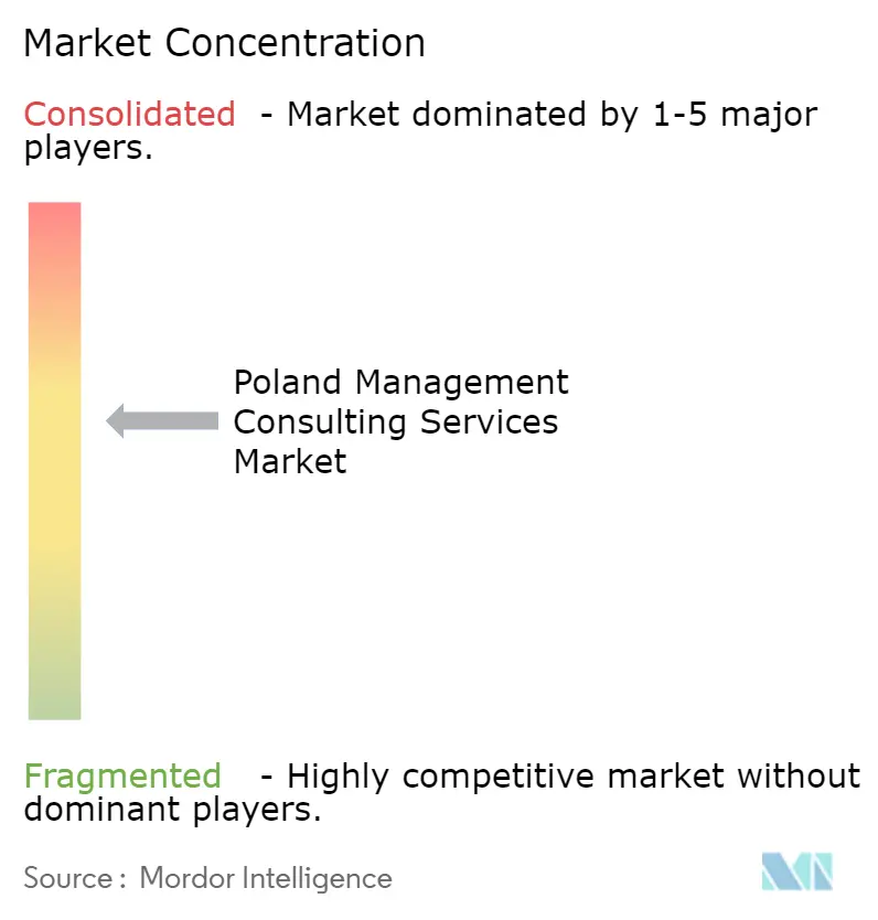 Poland Management Consulting Services Market Concentration