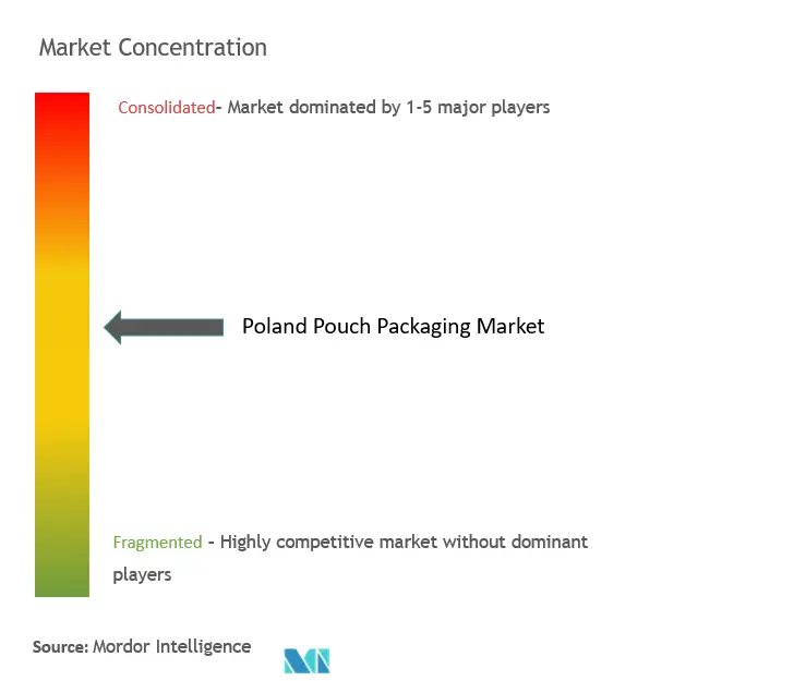 Poland Pouch Packaging Market Concentration