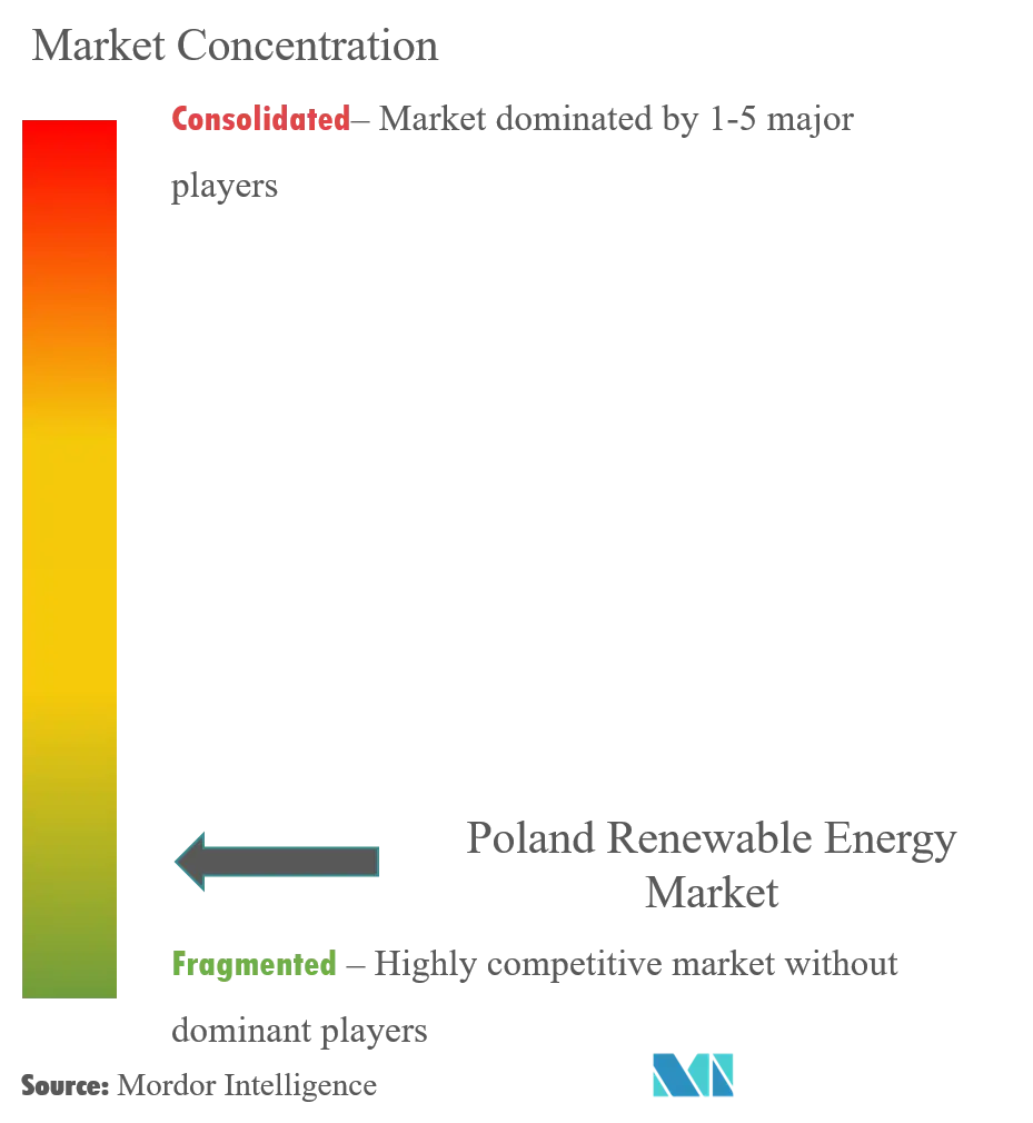 Polonia Energías RenovablesConcentración del Mercado