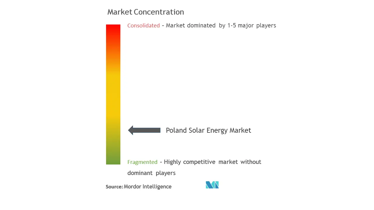 ポーランドの太陽エネルギー市場集中度