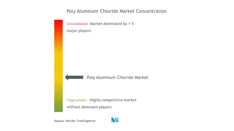 Marktkonzentration für Polyaluminiumchlorid