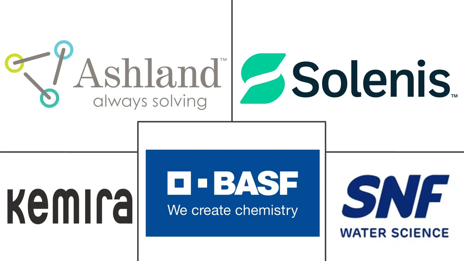 Major players in Polyacrylamide industry