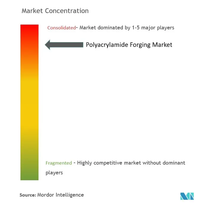 Polyacrylamide Market Concentration