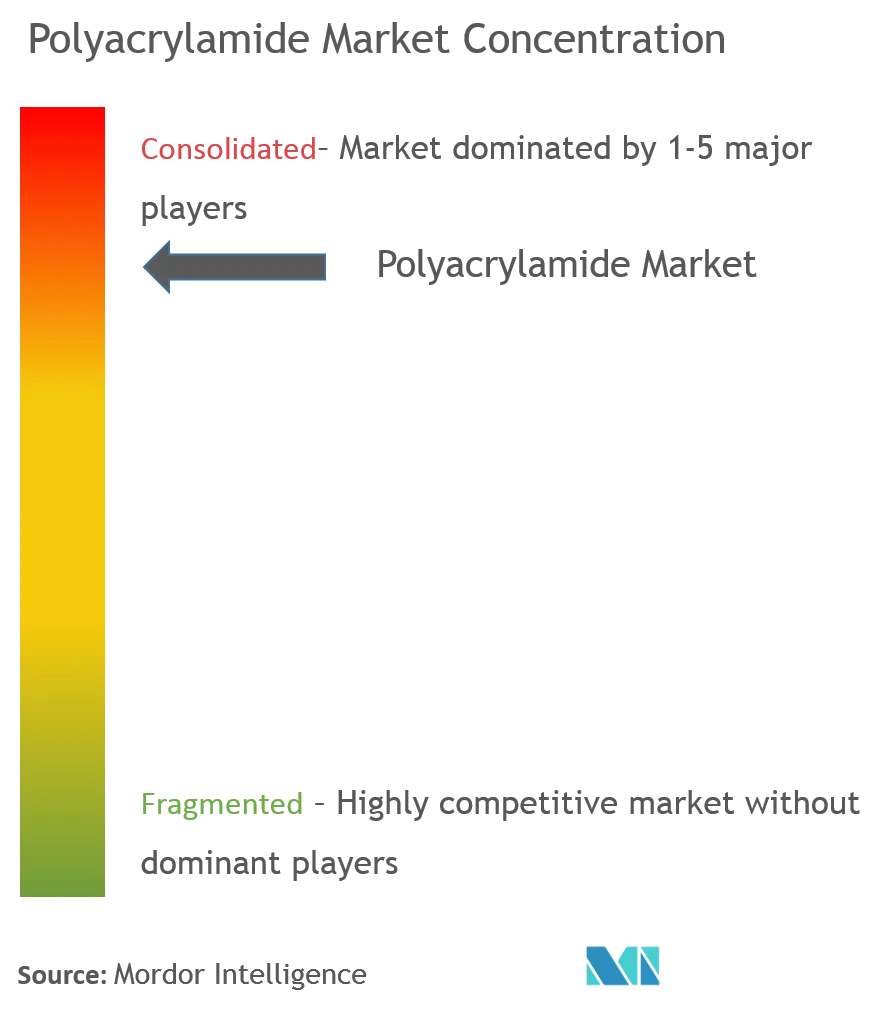 Polyacrylamide Market - Market Concentration.png