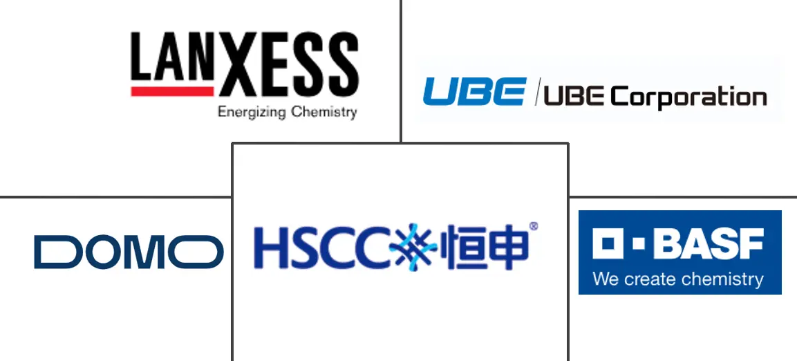 Major players in Polyamide (PA) 6 industry