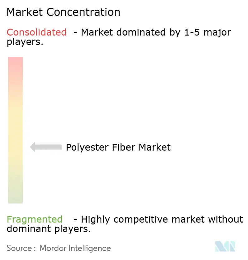 Polyester Fiber Market Concentration