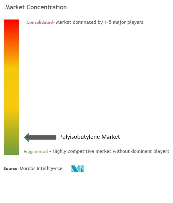 Polyisobutylene (PIB) Market Concentration