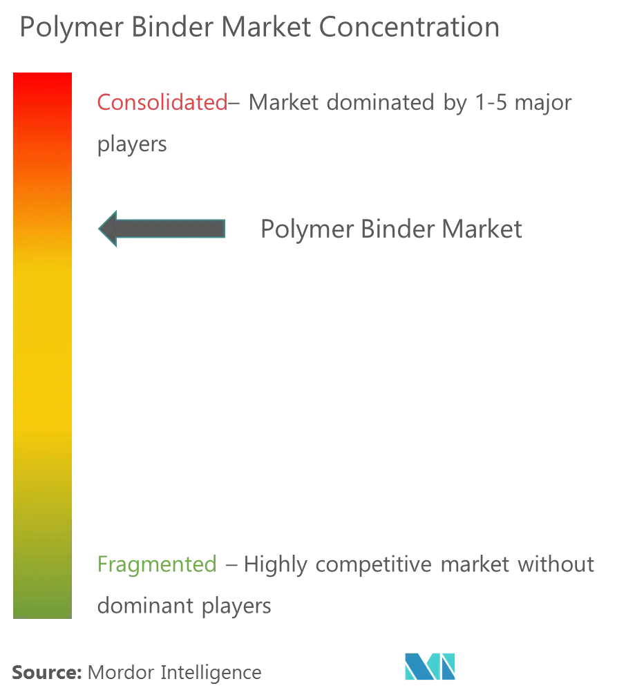 Polymer Binder Market Concentration