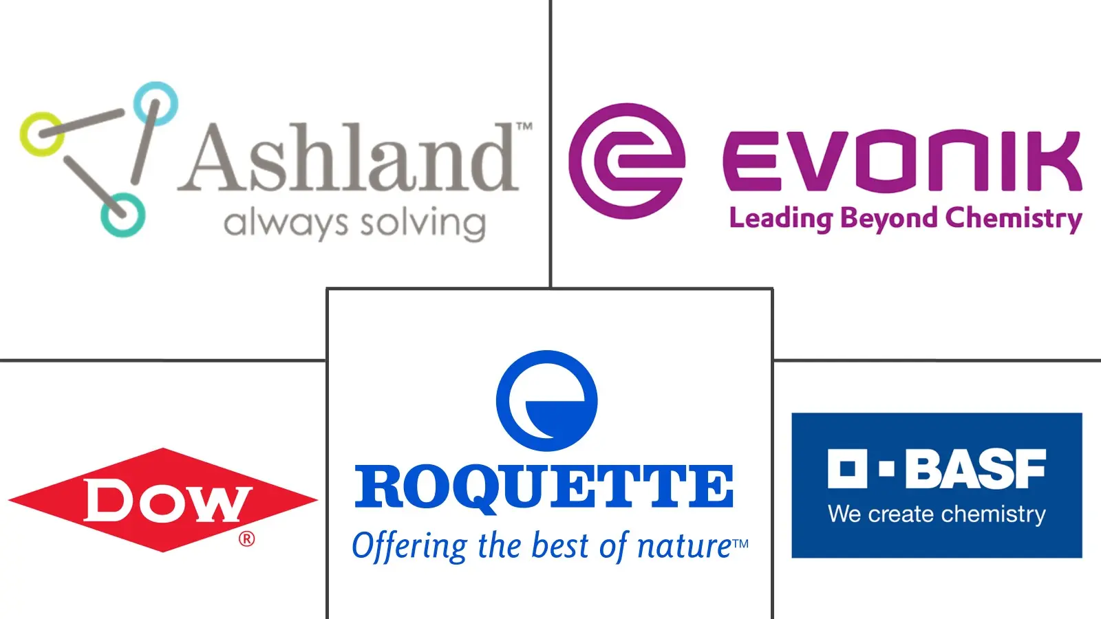 Major players in Polymer Excipients industry