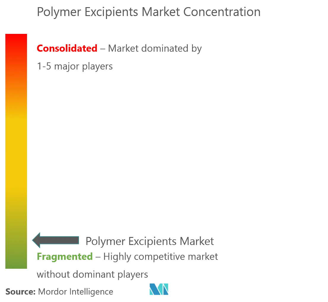 Market Concentration - Polymer Excipients Market.png