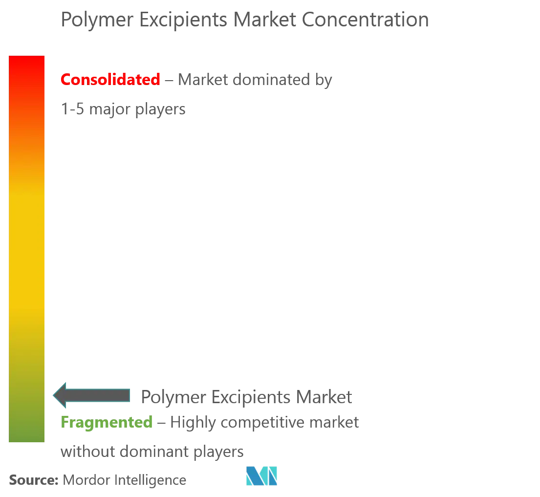 Polymer Excipients Market Concentration