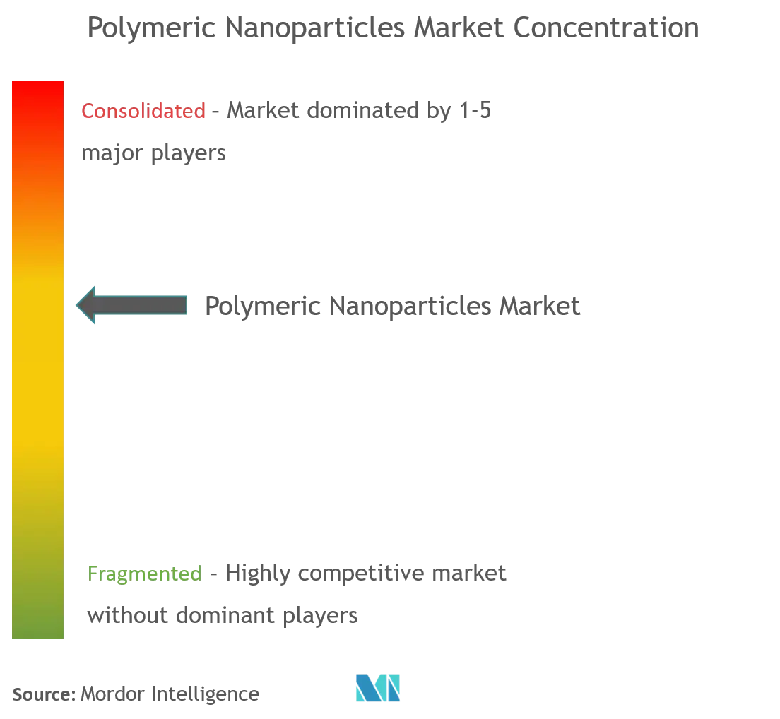 Polymeric Nanoparticles Market Concentration.png