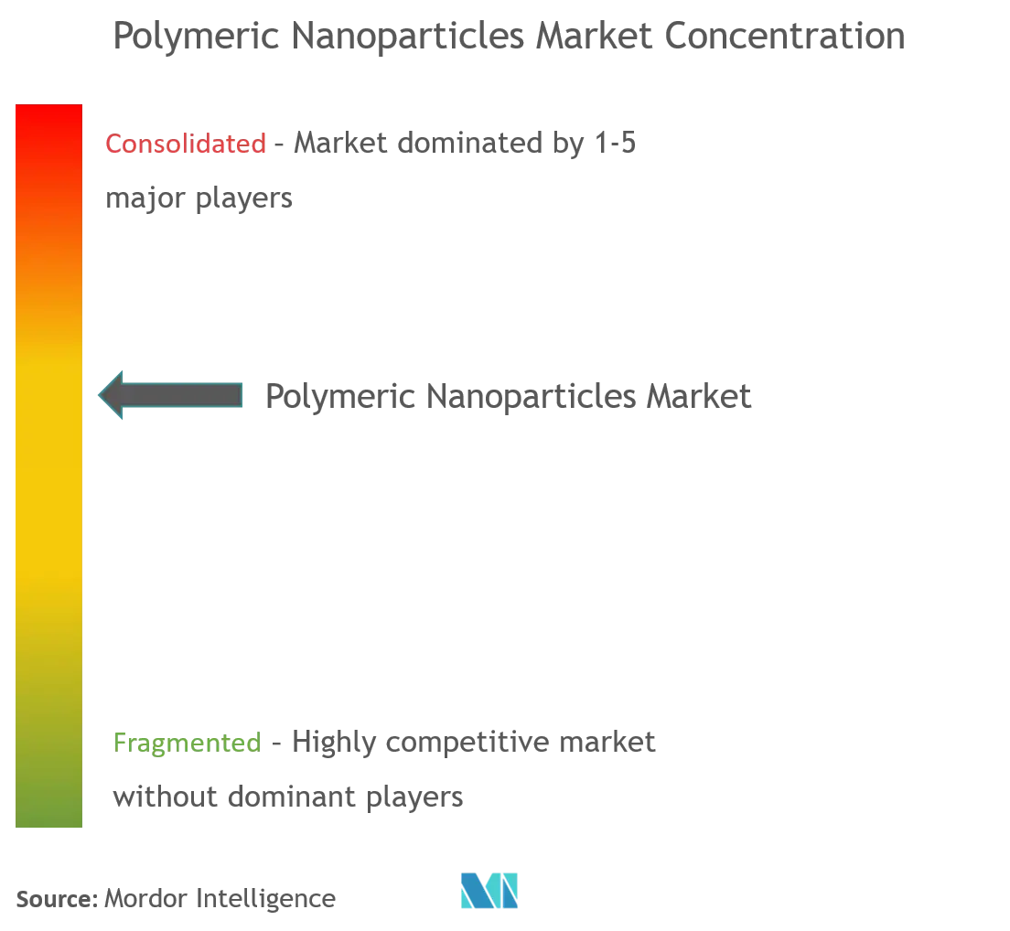 Nanoparticules polymèresConcentration du marché