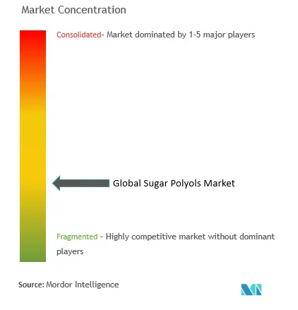 砂糖ポリオール市場の集中度