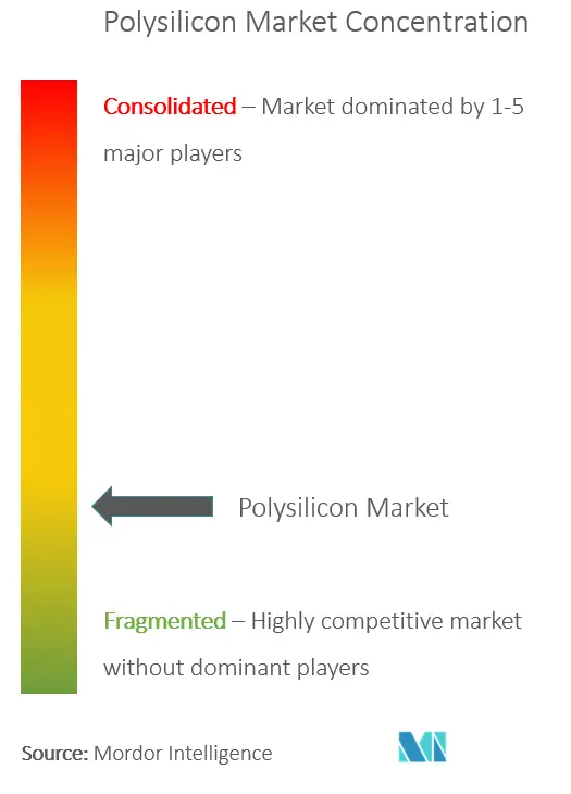 Polysilicon Market - Market Concentration.PNG