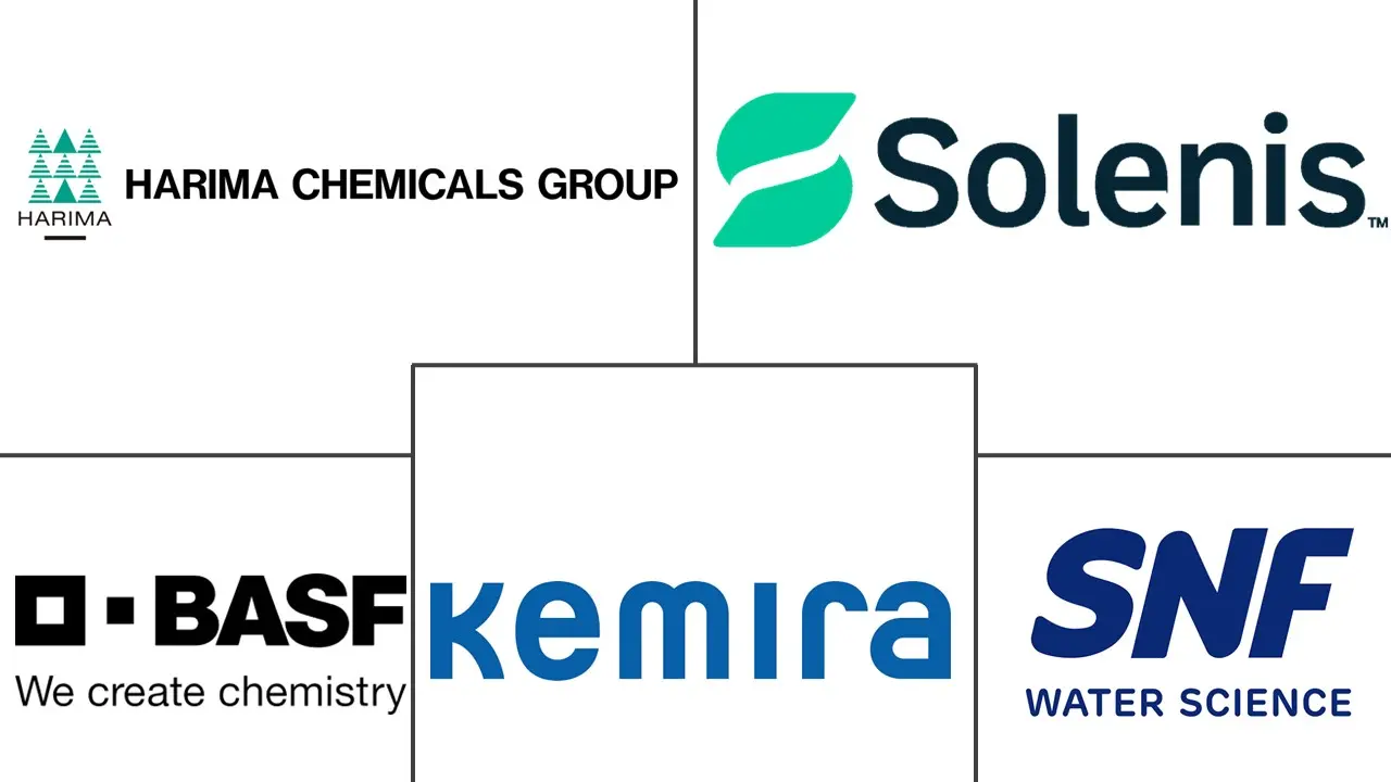 Major players in Polyvinyl Amine Paper Dry Strength Agent industry