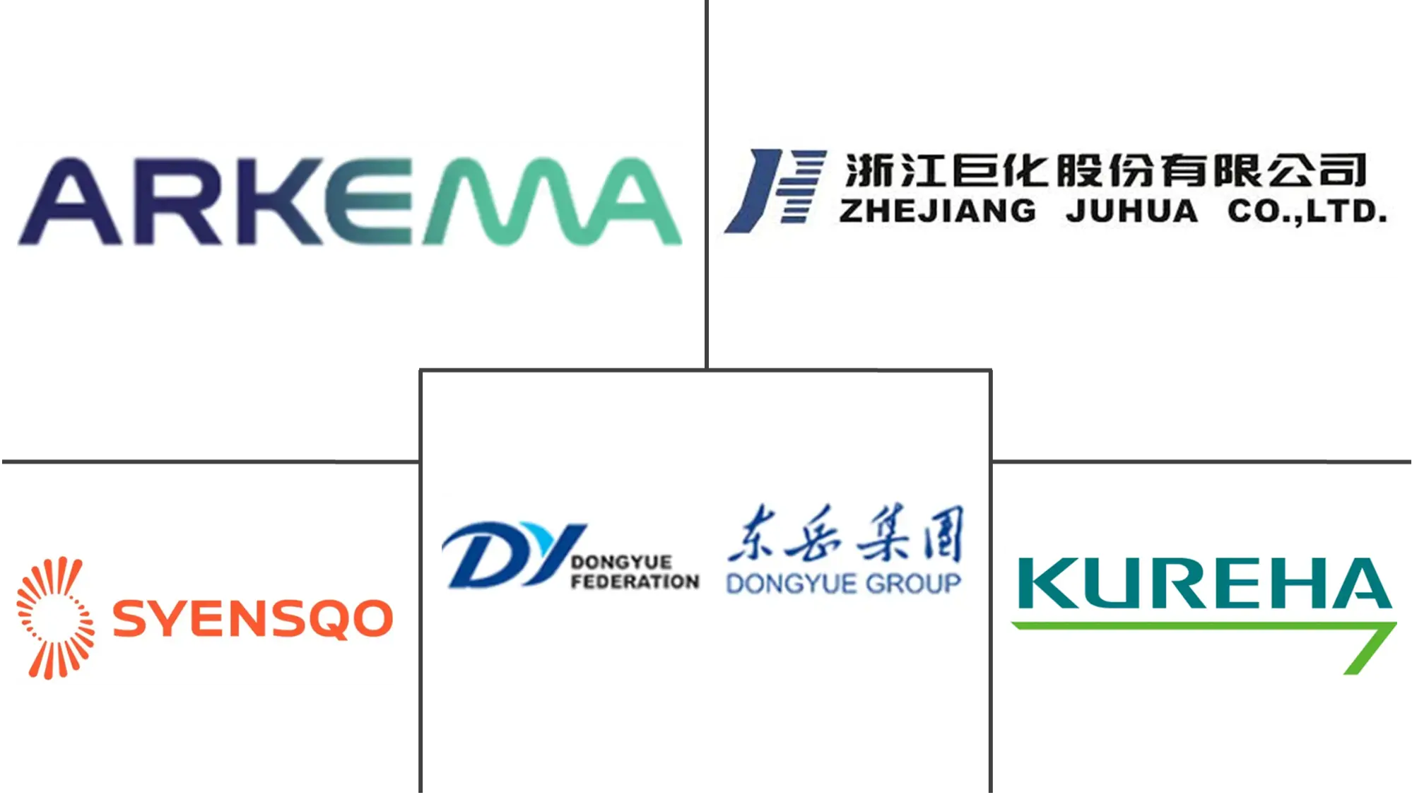 Major players in Polyvinylidene Fluoride (PVDF) industry