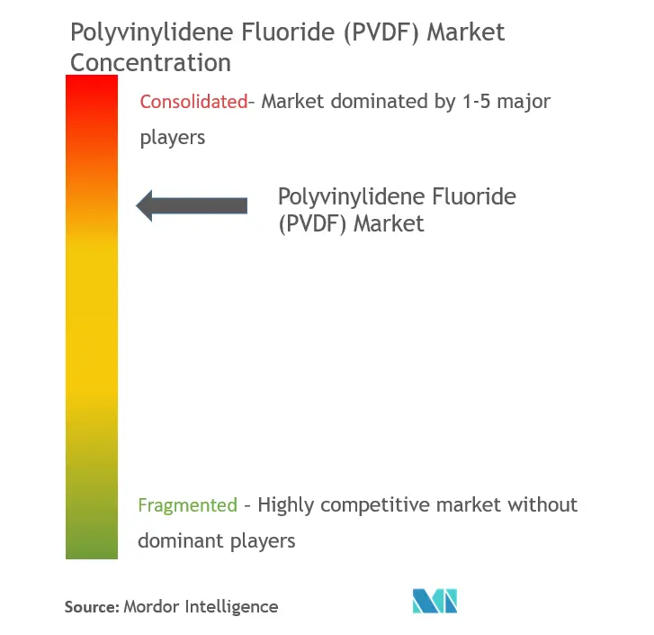 Polyvinylidene Fluoride (PVDF) Market - Market Concentration.png