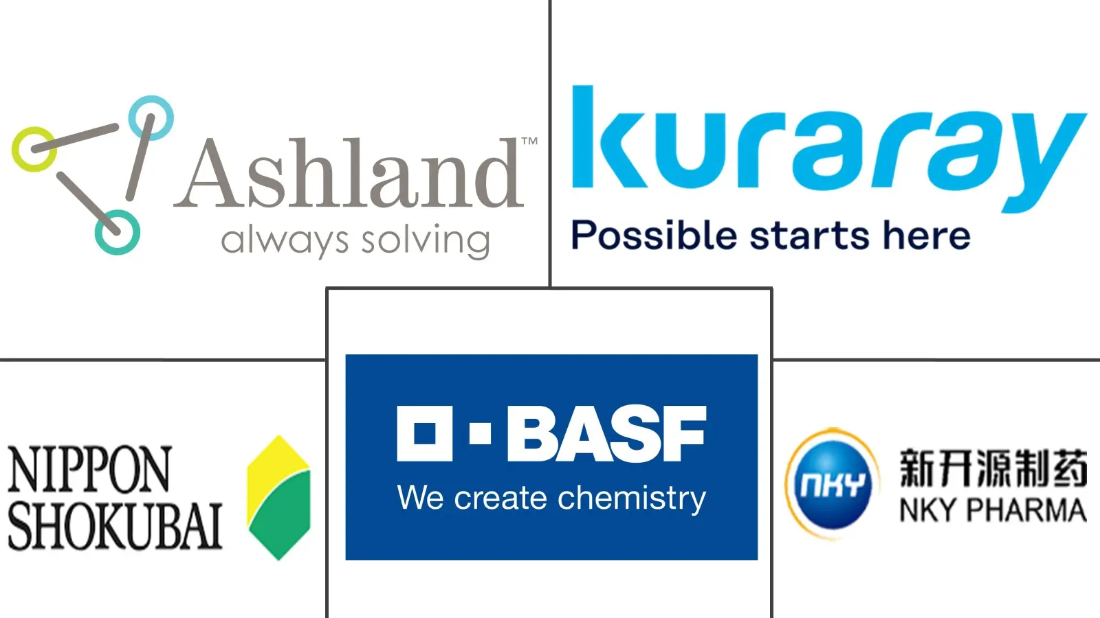 主要なプレイヤー: ポリビニルピロリドン市場 業界