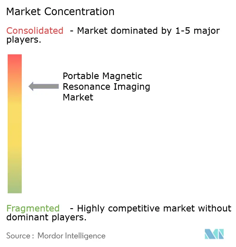 Portable Magnetic Resonance Imaging (MRI) Market Concentration