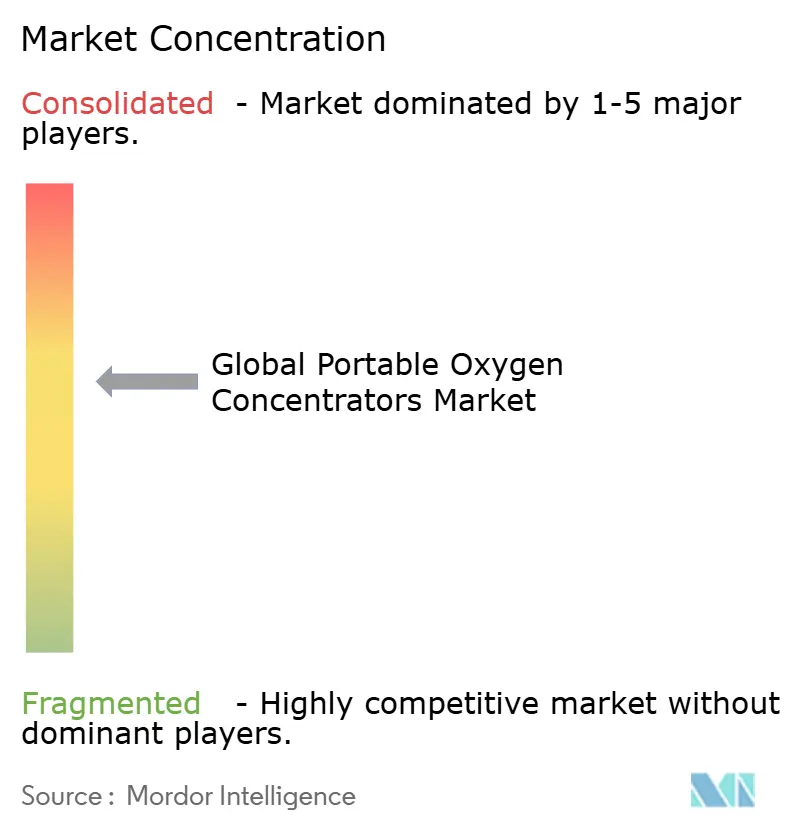 Global Portable Oxygen Concentrators Market Concentration Global Portable Oxygen Concentrators Market Concentration