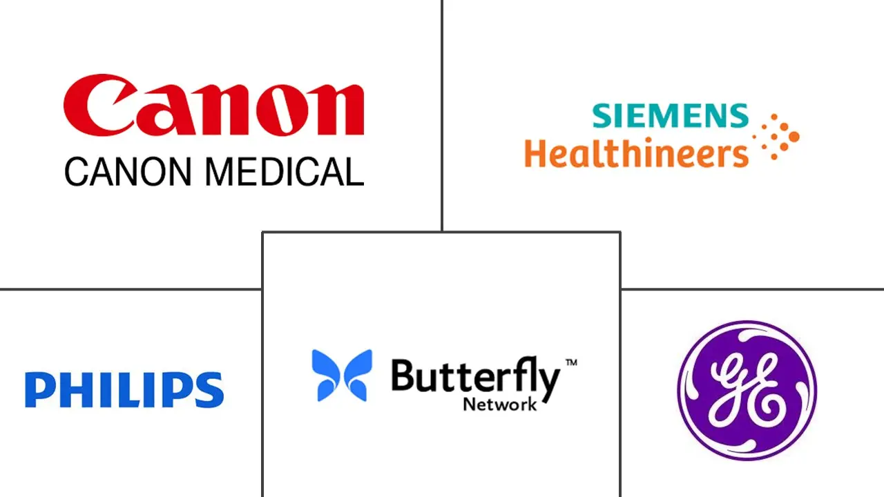 March�� des Dispositifs �� Ultrasons Portables Acteurs majeurs