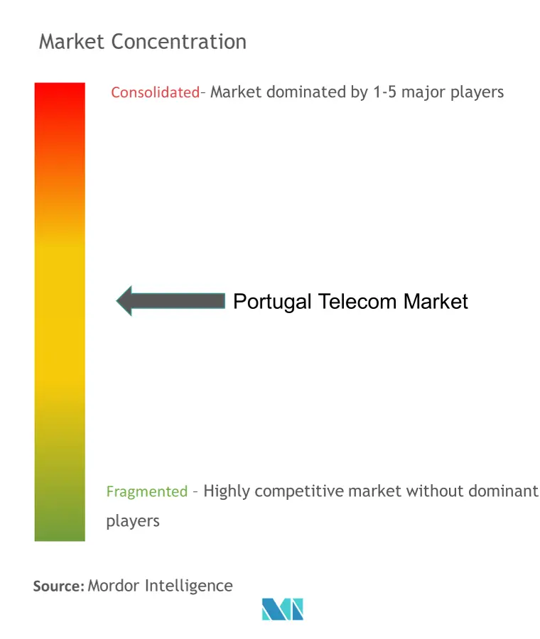 Portugal Telecom Market Concentration