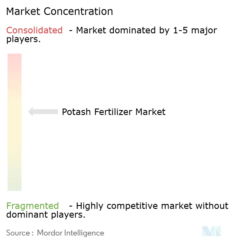 Concentración del Mercado de Fertilizantes Potásicos