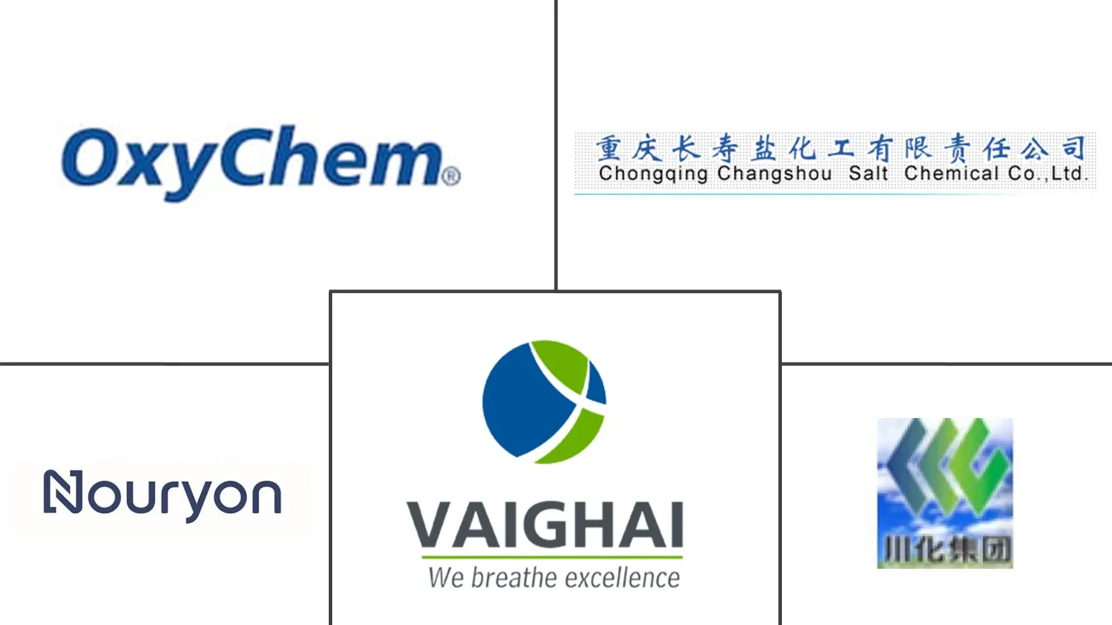 Major players in Potassium Chlorate industry