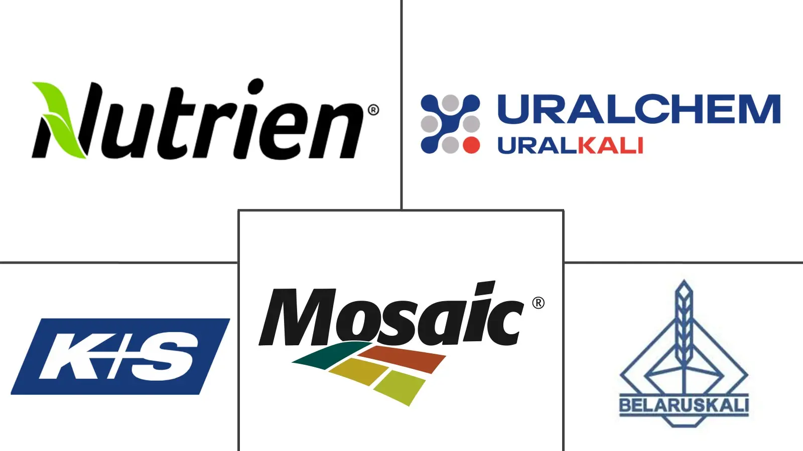 Major players in Potassium Chloride industry
