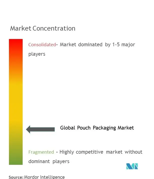 Pouch Packaging Market Concentration