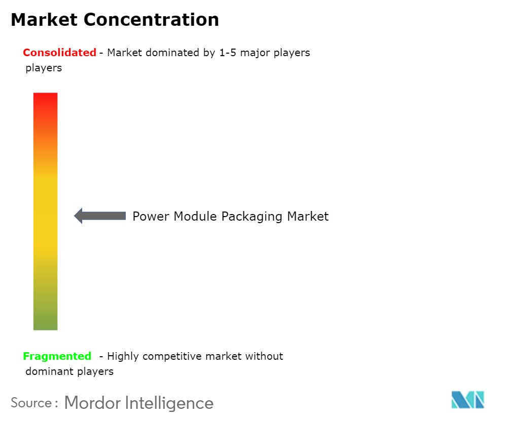 Power Module Packaging Market Concentration