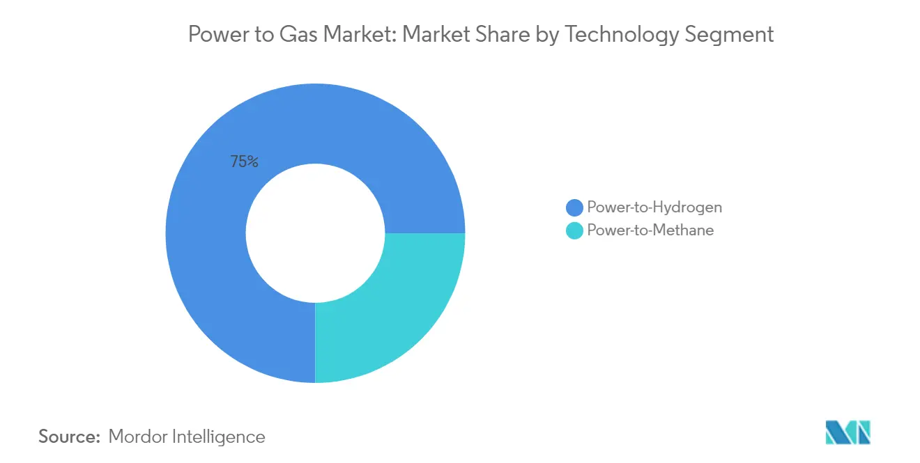 Market Analysis of Power to Gas Market: Chart for Technology