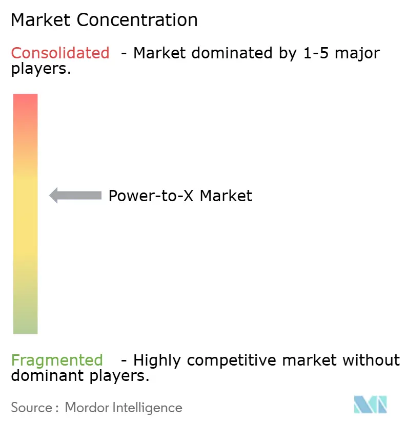 Power-to-X Market Concentration