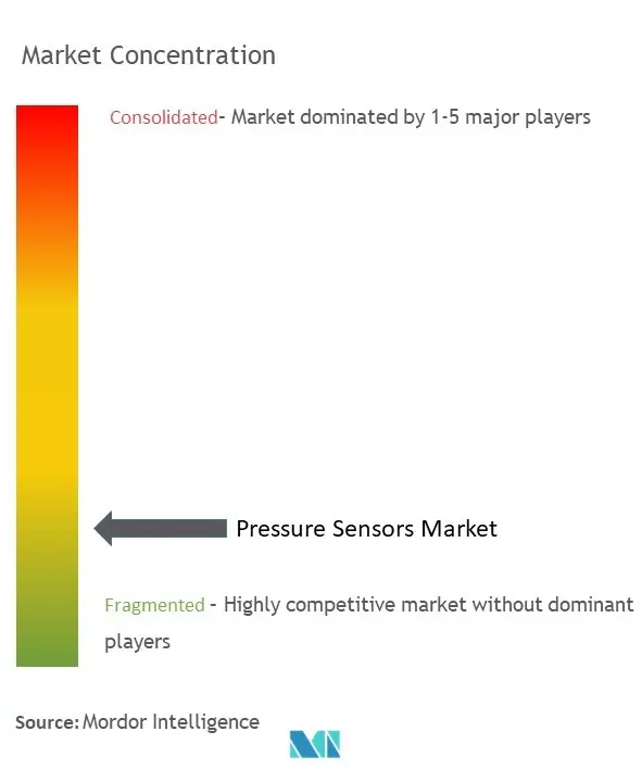 Pressure Sensors Market Concentration