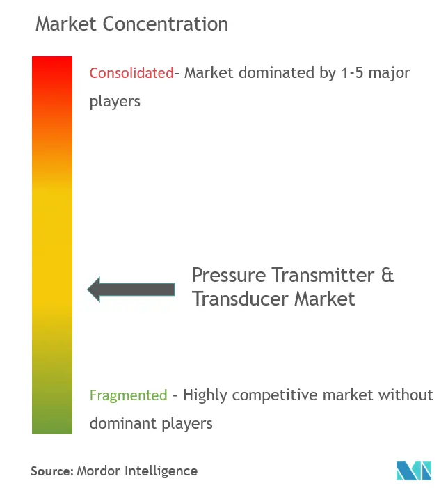圧力トランスミッタ＆トランスデューサ市場の集中度
