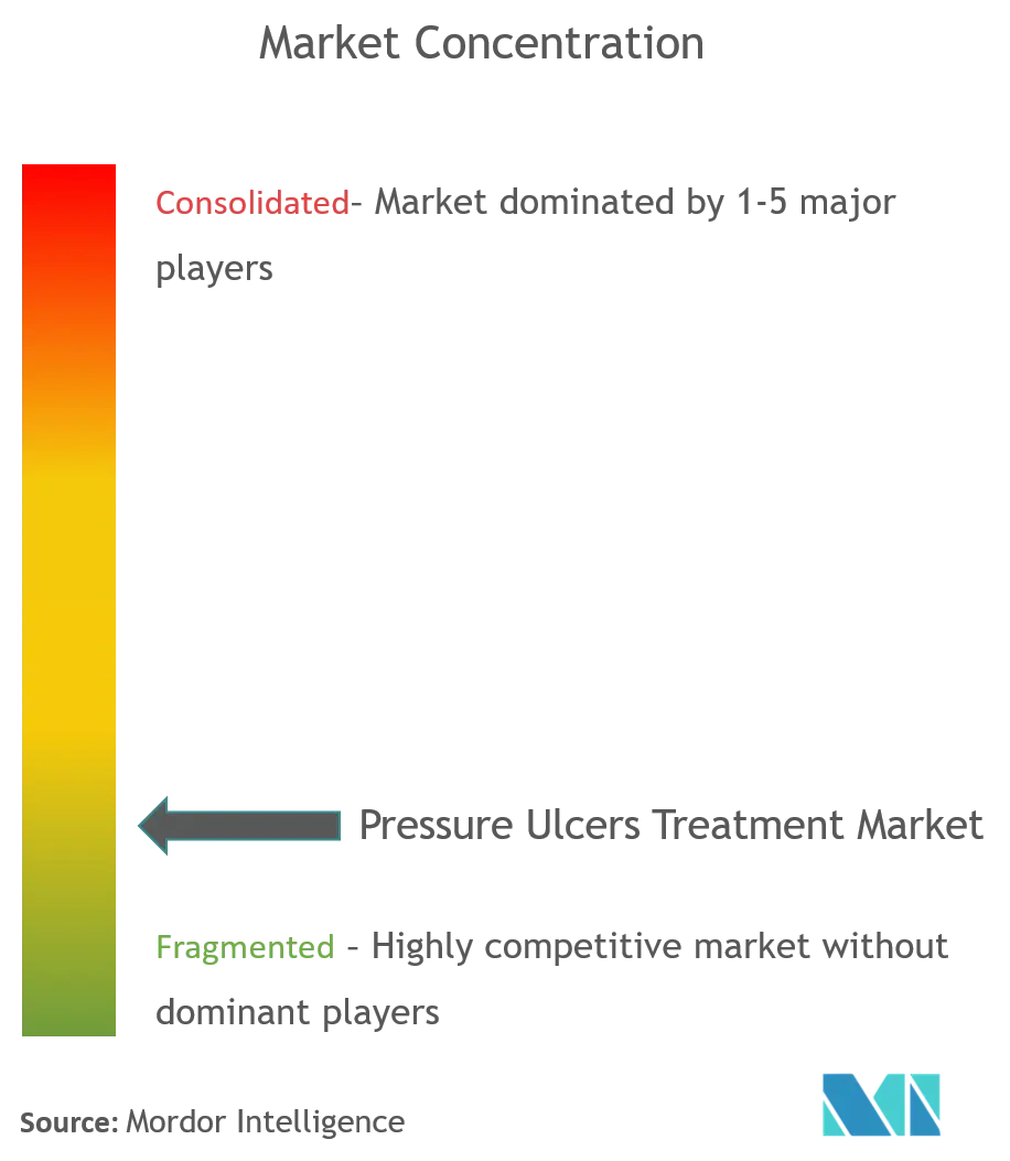 Pressure Ulcers Treatment Market Concentration