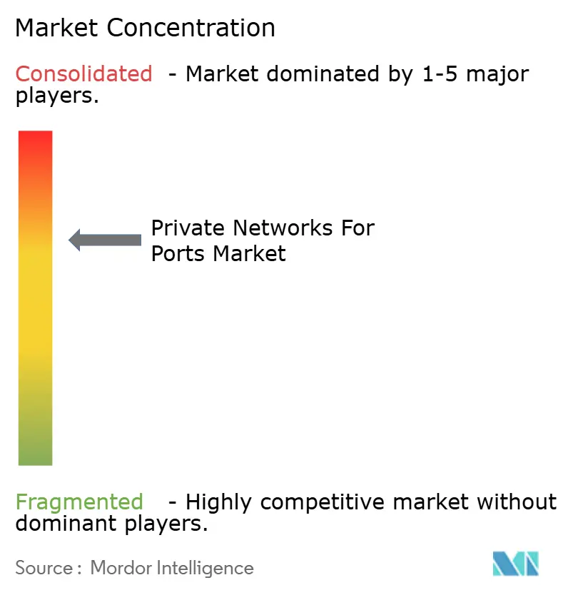 Private Networks For Ports Market Concentration