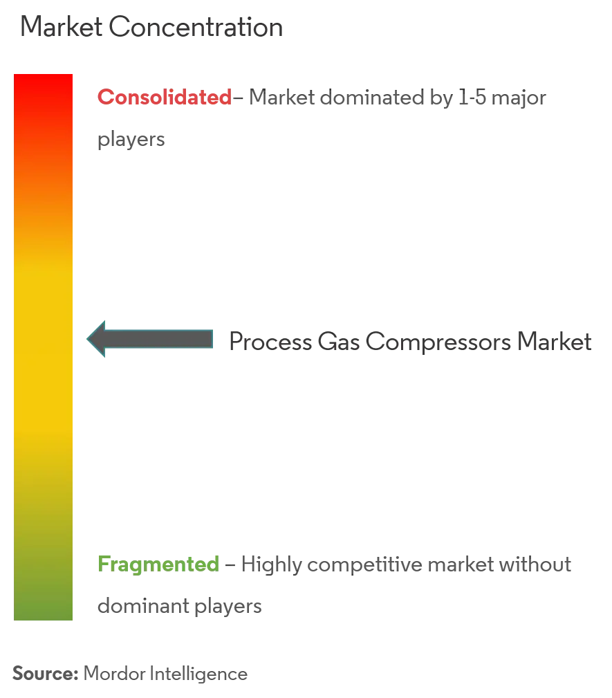 Global Process Gas Compressor - Market Concentration
