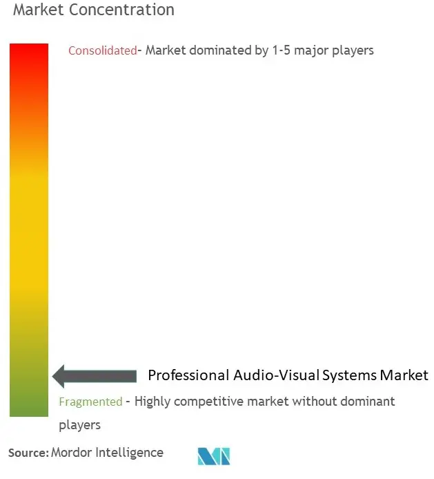 Professional Audio-Visual Systems Market Concentration