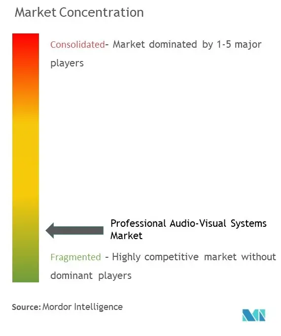 Professional Audio-Visual Systems Market Concentration
