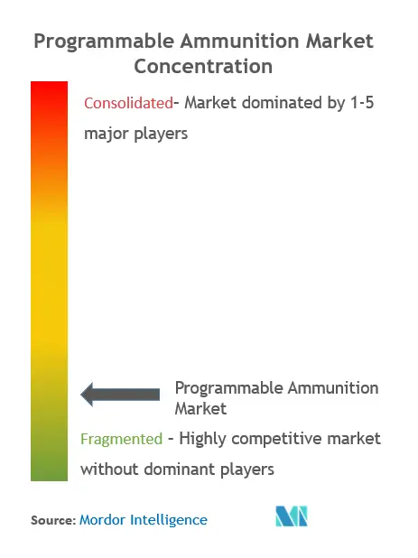 Programmable Ammunition Market Concentration