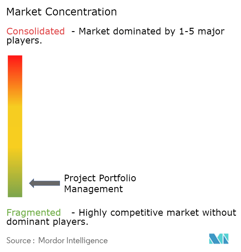 Project Portfolio Management Concentration