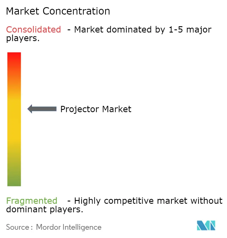 Projector Market Concentration