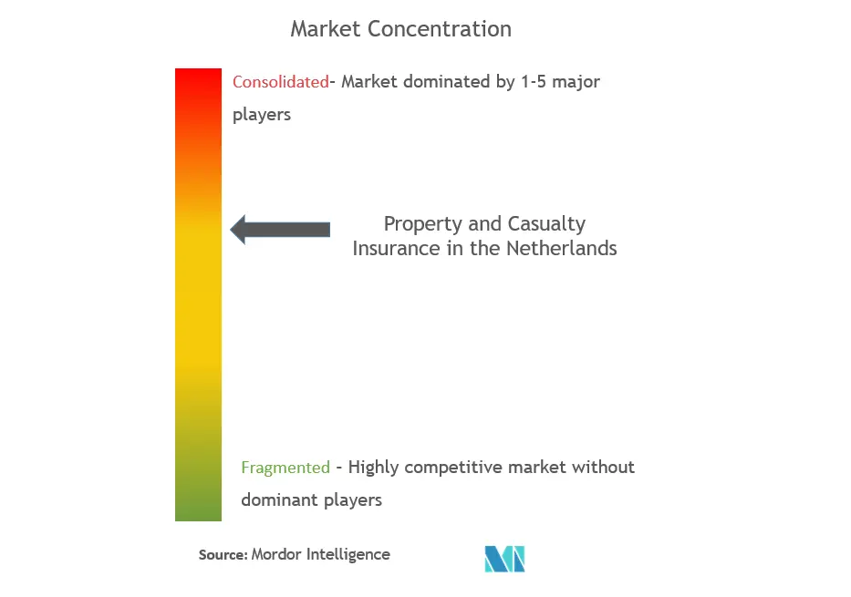 Netherlands Property & Casualty Insurance Market Concentration