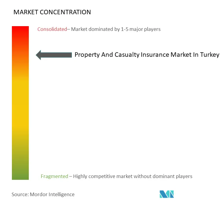 トルコ損害保険市場の集中度