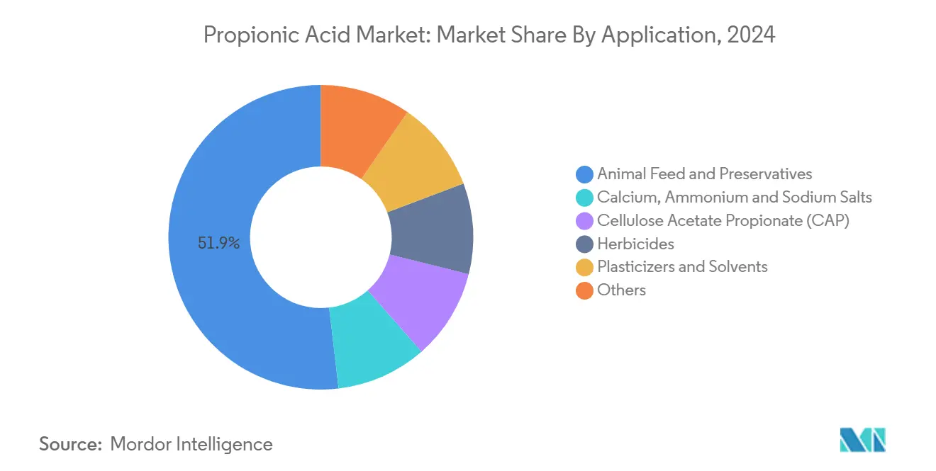 Propionic Acid Market