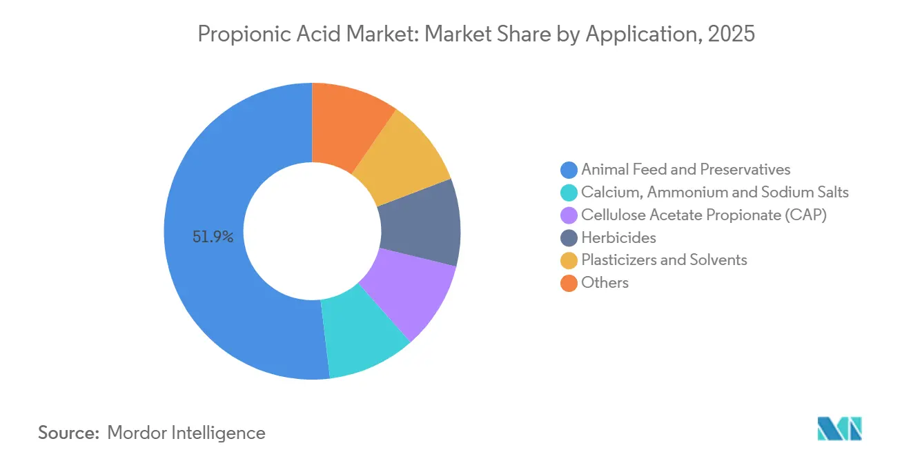 Propionic Acid Market: Market Share by Application