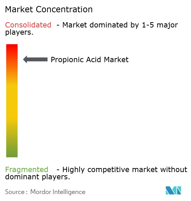 Propionic Acid Market Concentration Propionic Acid Market Concentration