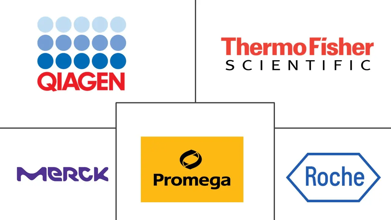 Major players in Proteinase K industry